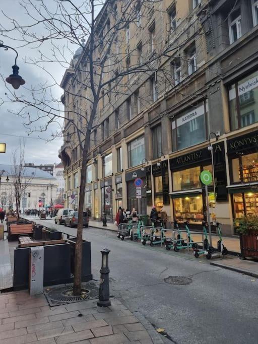 Danube Dwelling Asboth 19-1 Apartment Будапеща Екстериор снимка